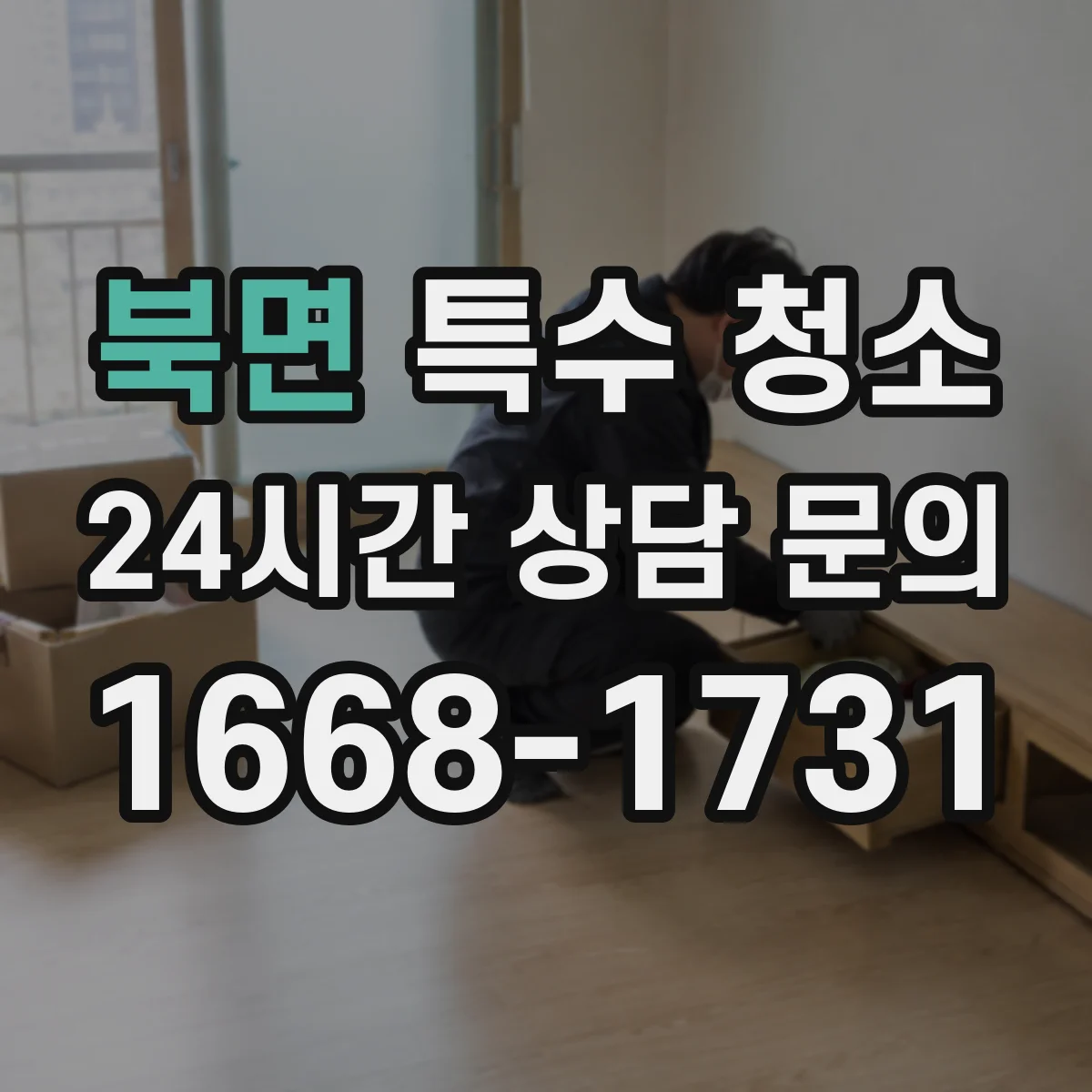 북면 특수 청소