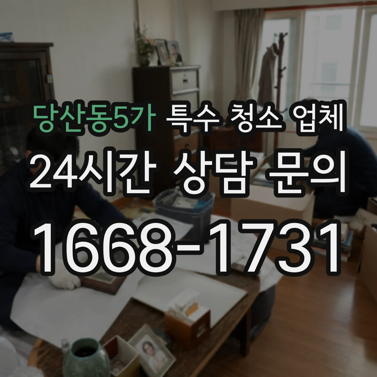 당산동5가 특수 청소 업체