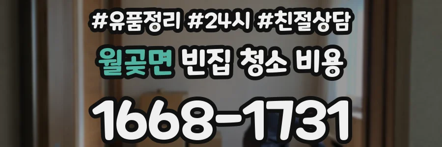 월곶면 빈집 청소 비용