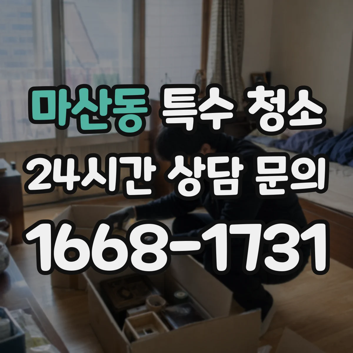 마산동 특수 청소