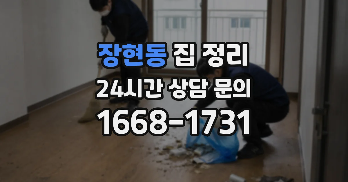장현동 집 정리