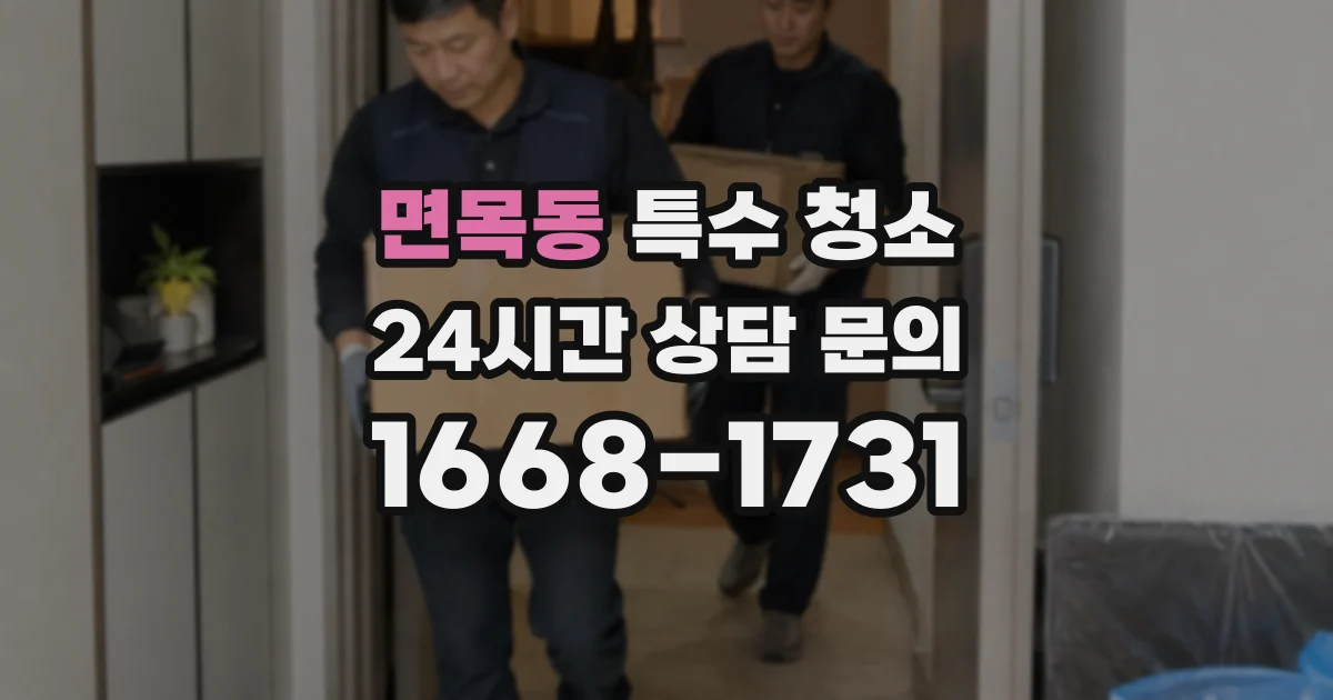 면목동 특수 청소