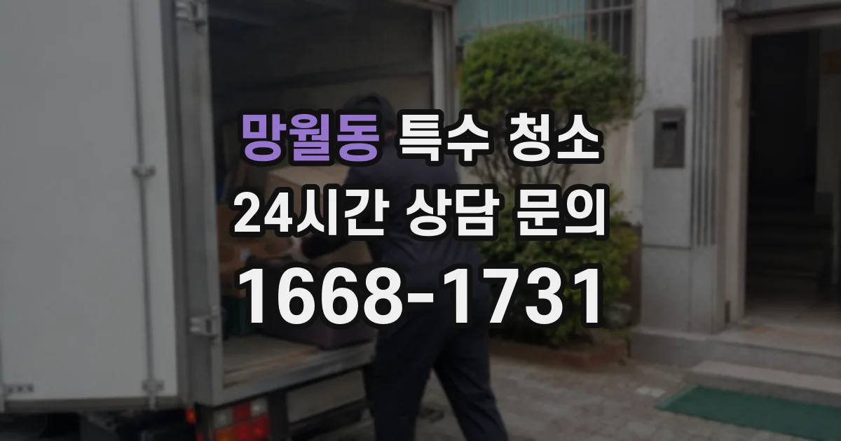 망월동 특수 청소