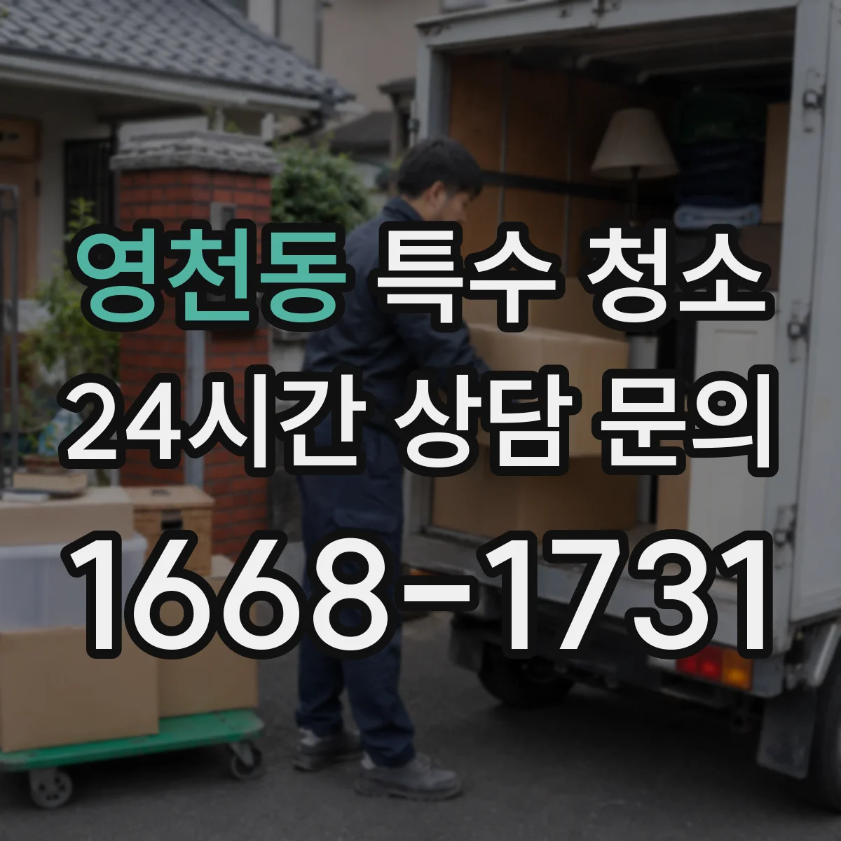 영천동 특수 청소