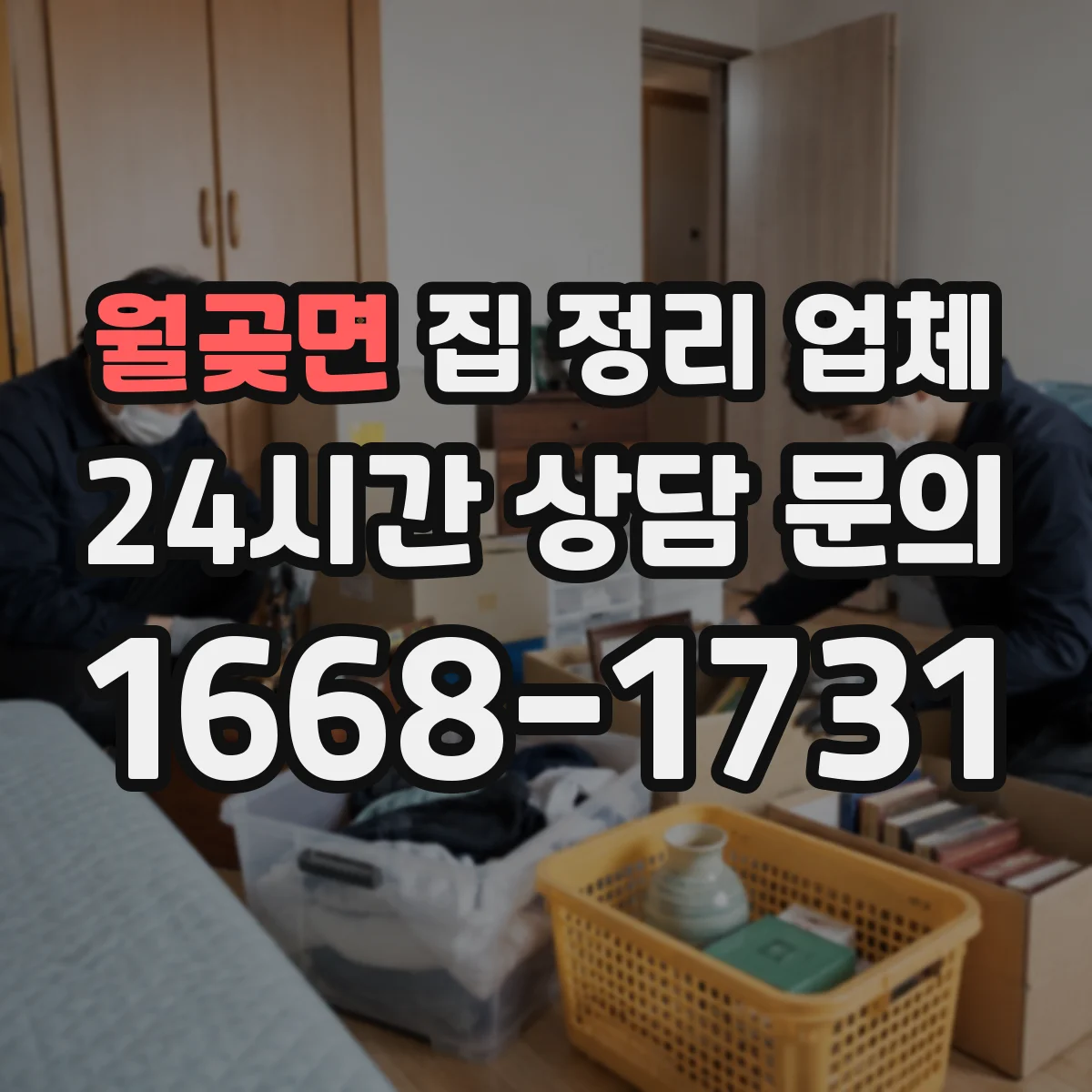 월곶면 집 정리 업체