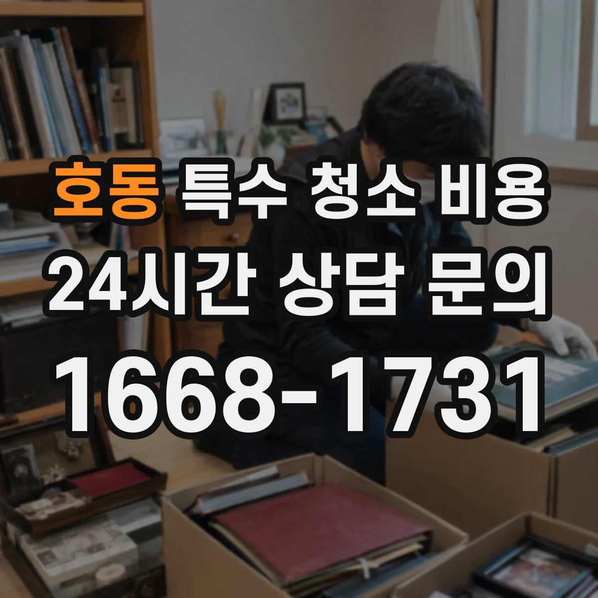 호동 특수 청소 비용