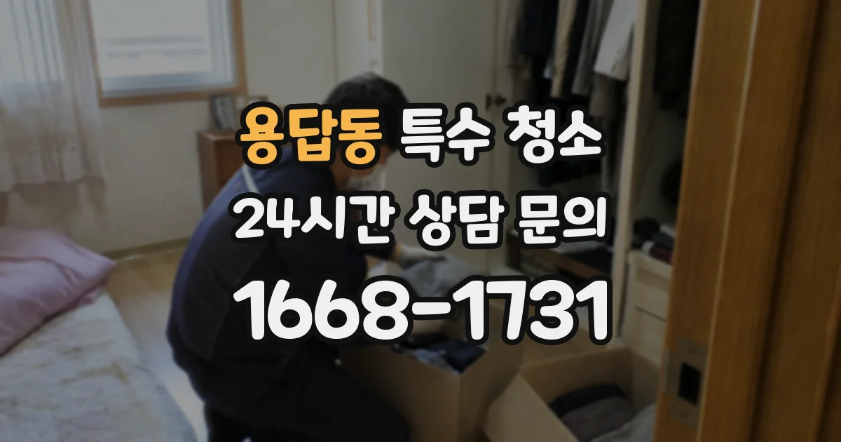 용답동 특수 청소