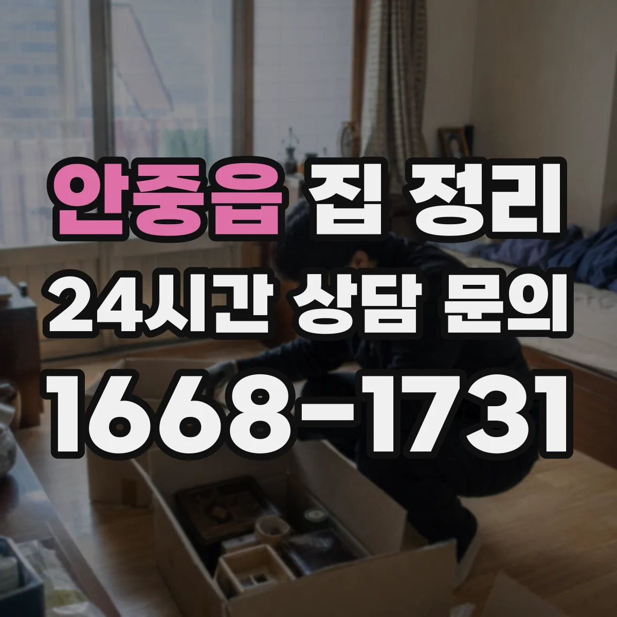 안중읍 집 정리