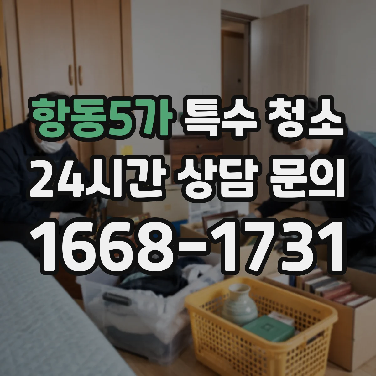 항동5가 특수 청소