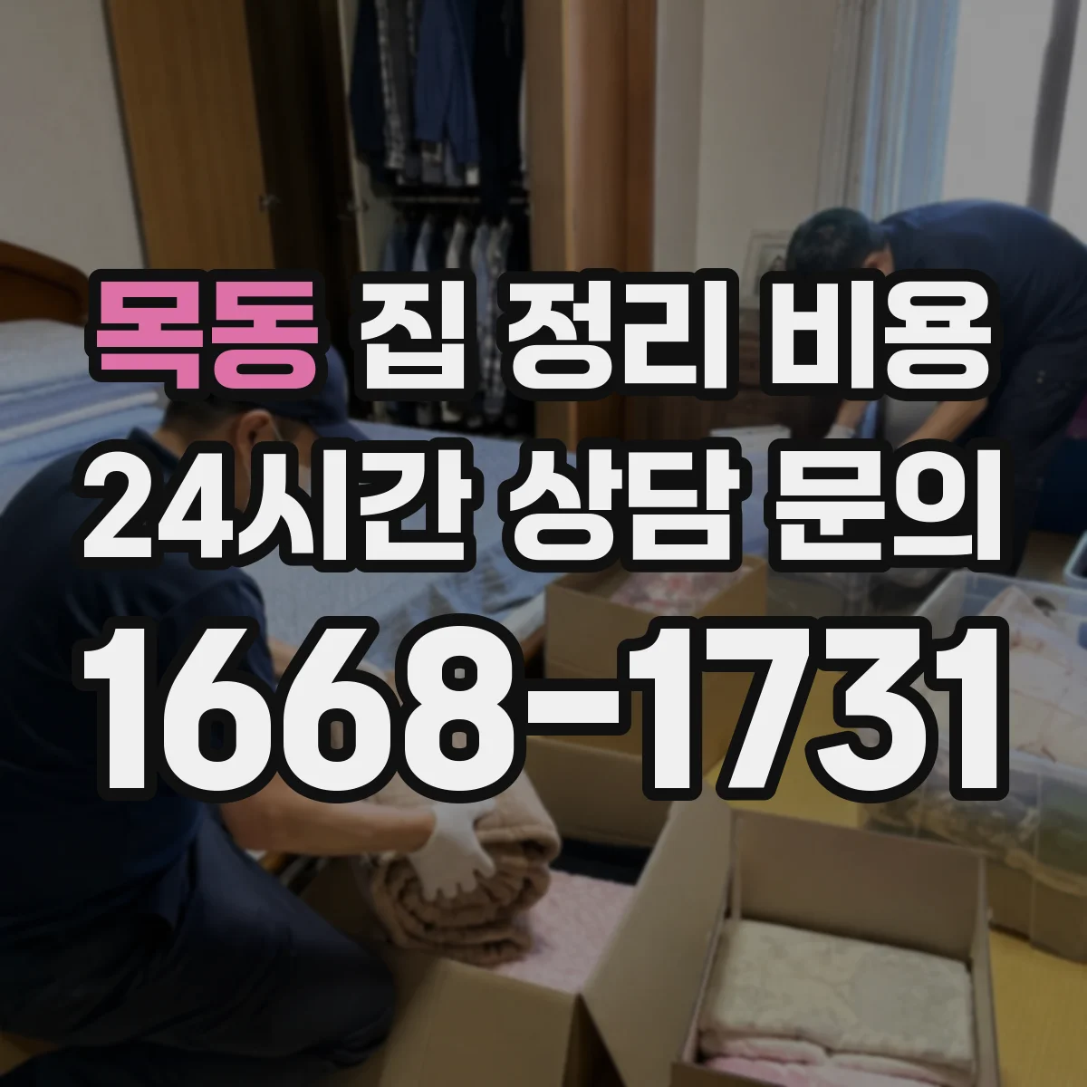 목동 집 정리 비용
