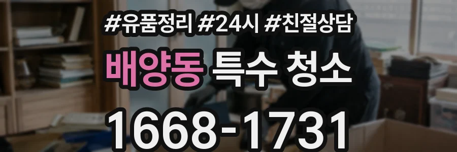 배양동 특수 청소