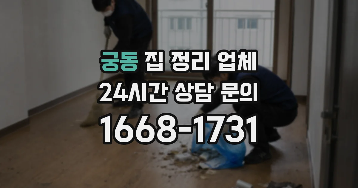 궁동 집 정리 업체