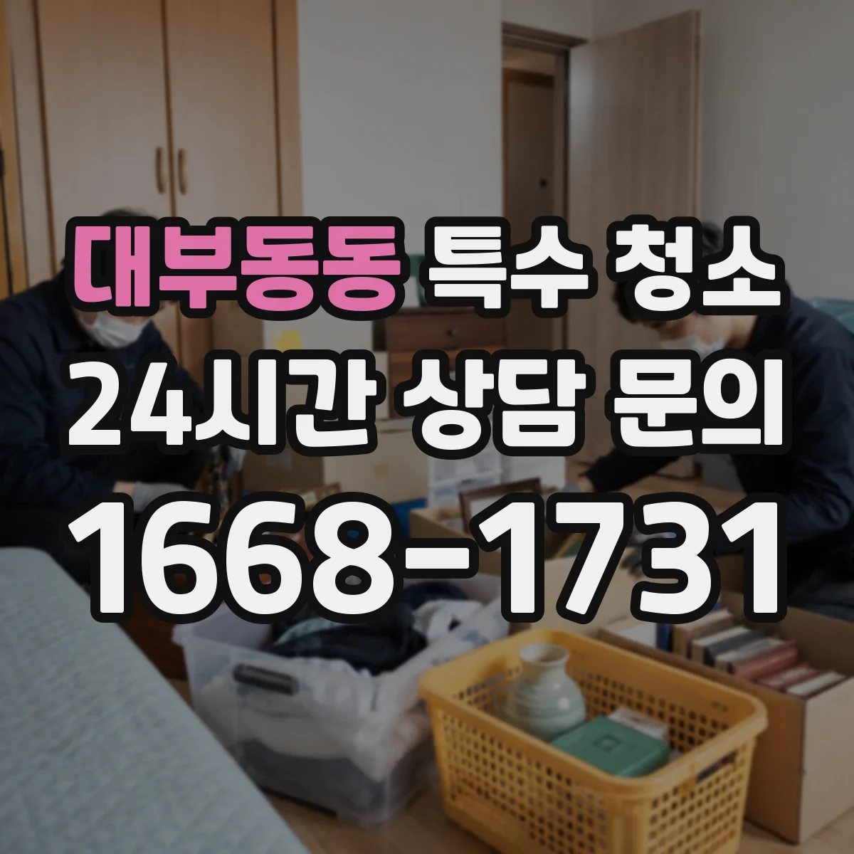 대부동동 특수 청소