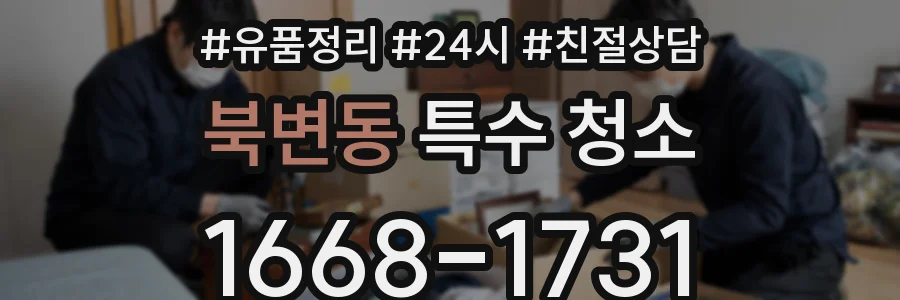 북변동 특수 청소