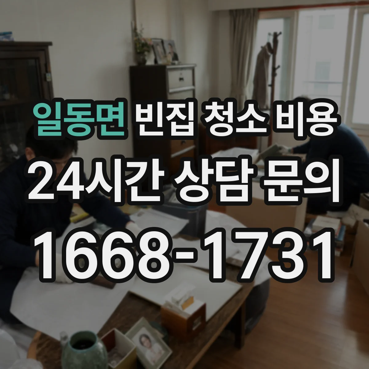 일동면 빈집 청소 비용