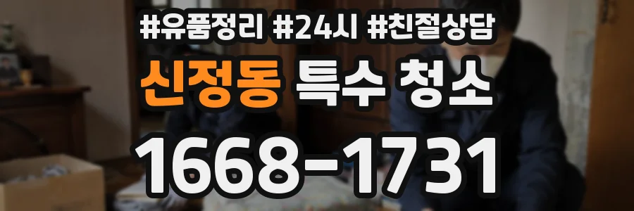 신정동 특수 청소