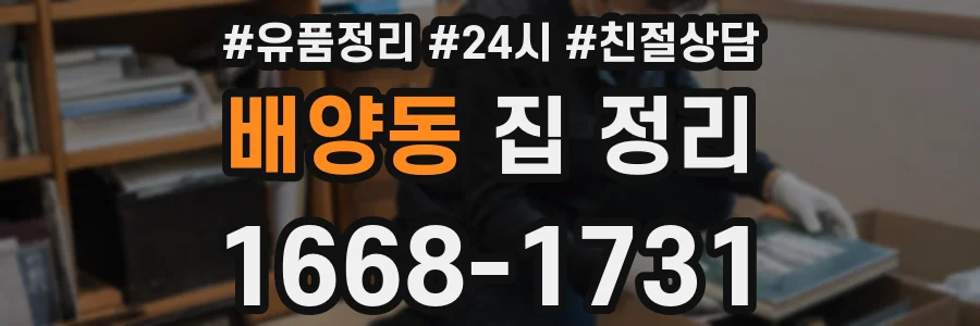 배양동 집 정리