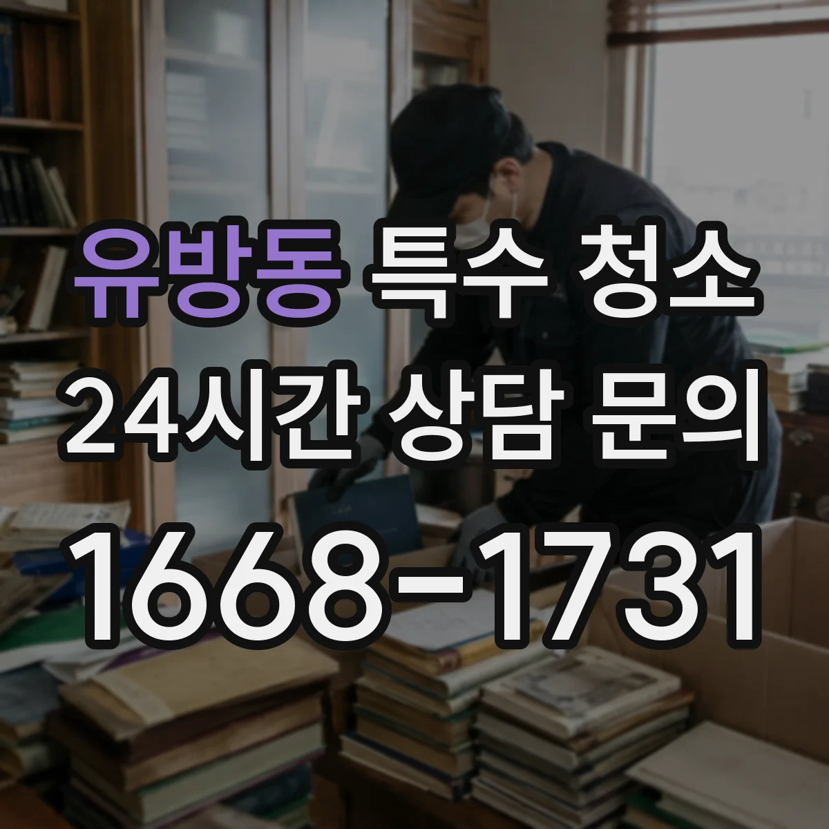 유방동 특수 청소