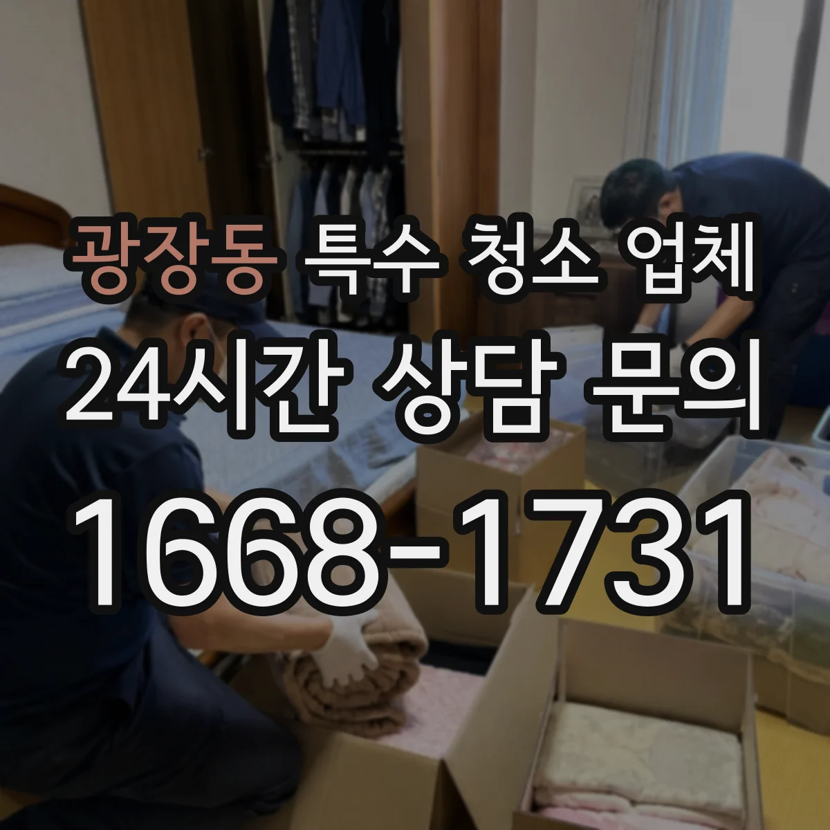 광장동 특수 청소 업체
