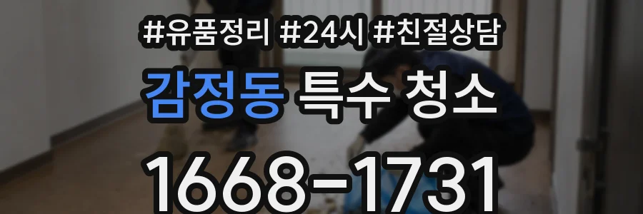 감정동 특수 청소