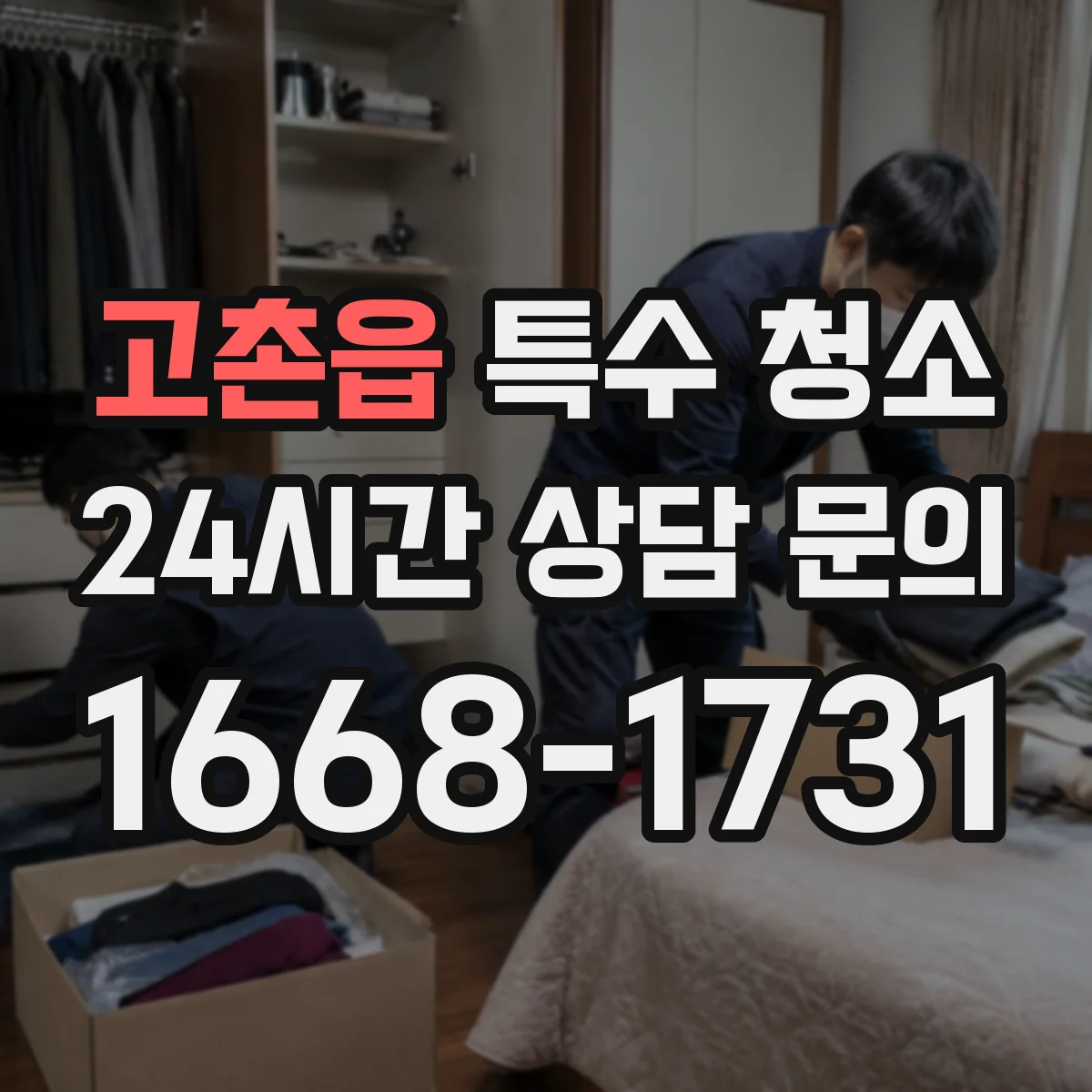 고촌읍 특수 청소