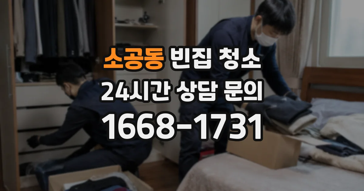 소공동 빈집 청소