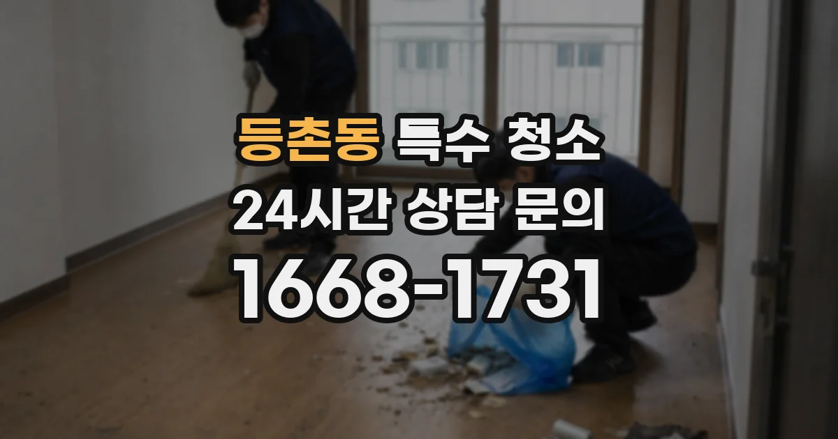 등촌동 특수 청소
