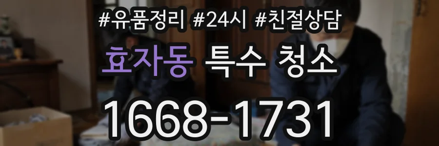 효자동 특수 청소