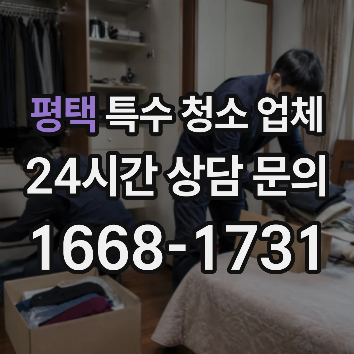 평택 특수 청소 업체