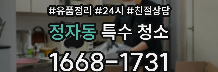 정자동 특수 청소