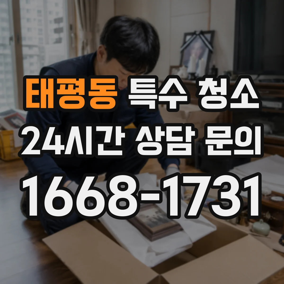 태평동 특수 청소