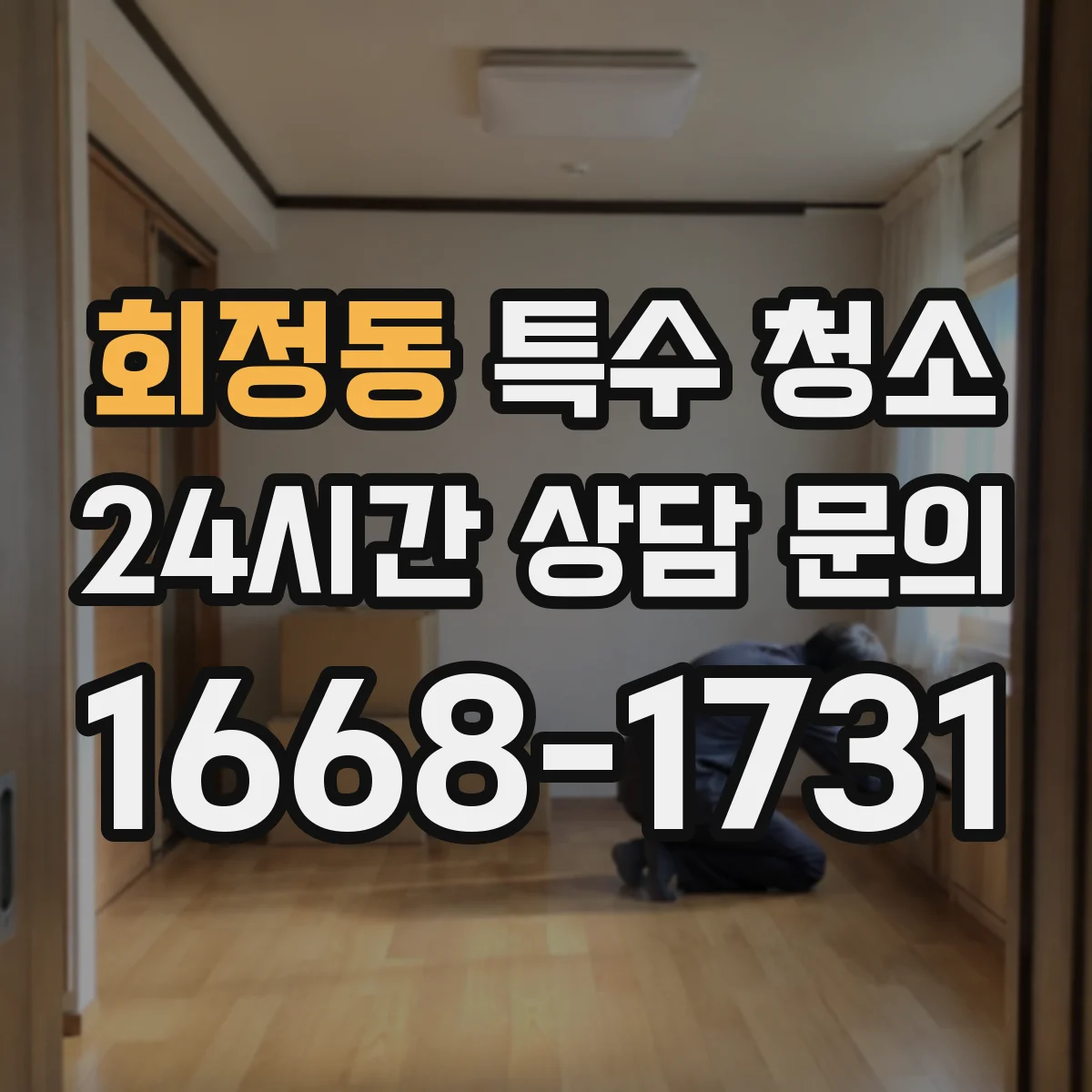회정동 특수 청소