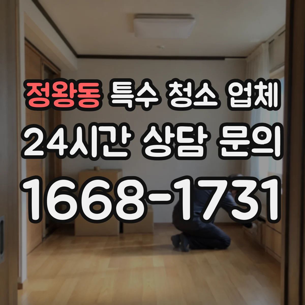 정왕동 특수 청소 업체
