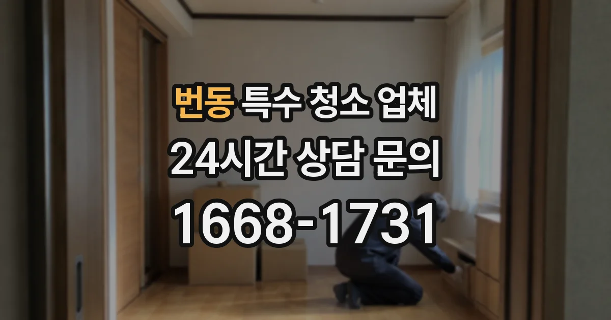 번동 특수 청소 업체