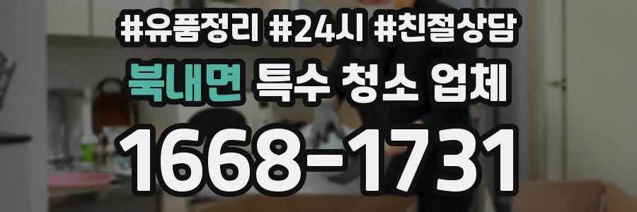 북내면 특수 청소 업체