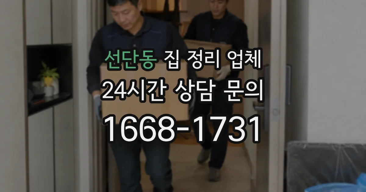 선단동 집 정리 업체