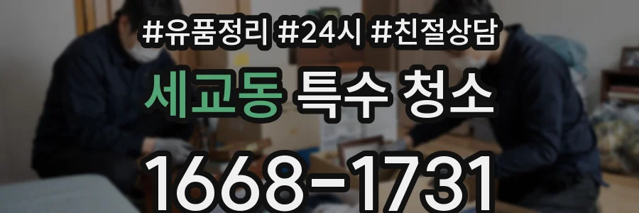 세교동 특수 청소