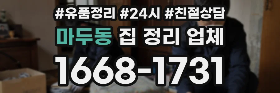 마두동 집 정리 업체