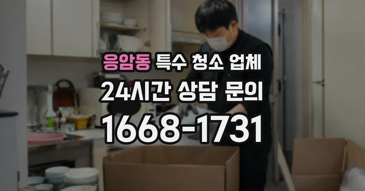 응암동 특수 청소 업체