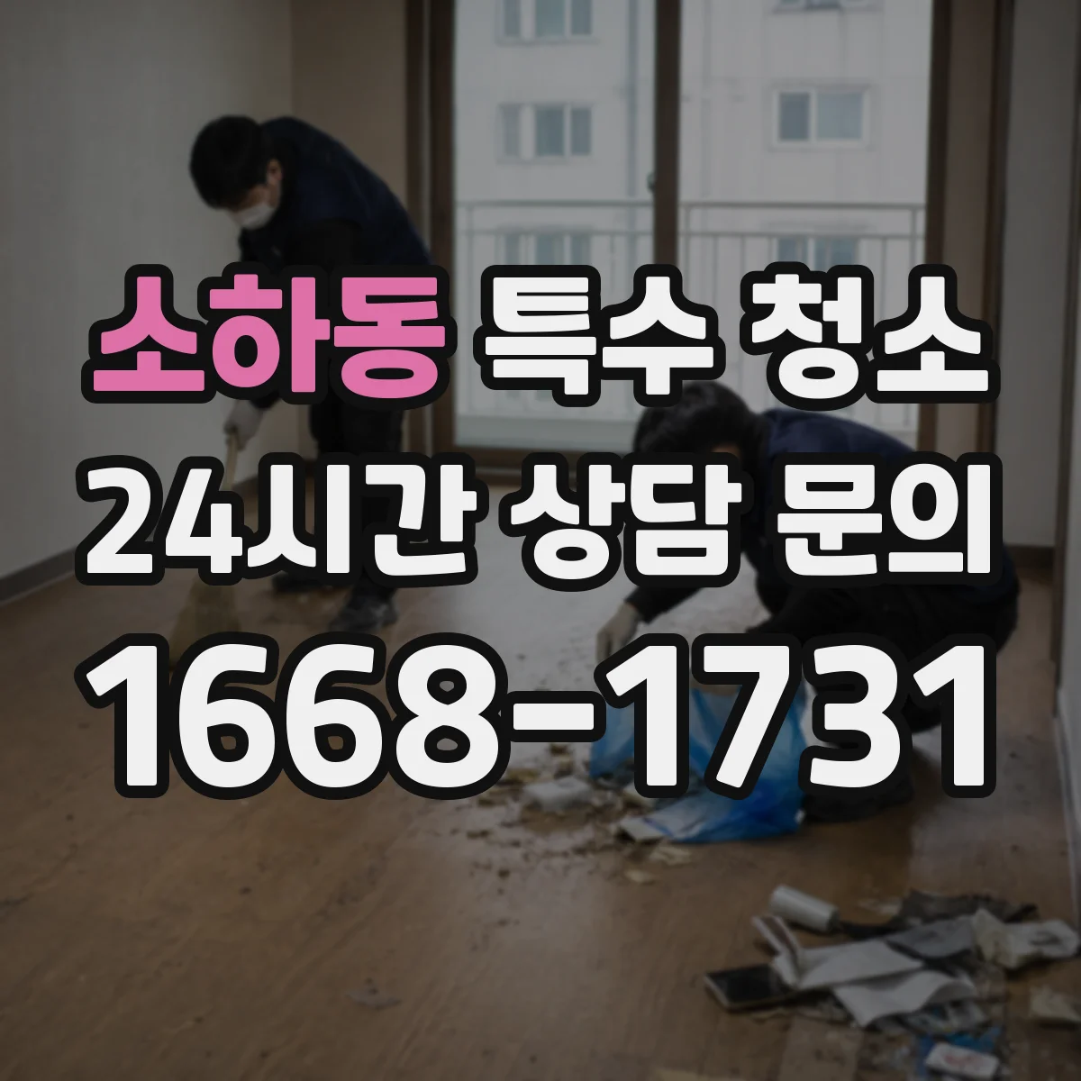 소하동 특수 청소