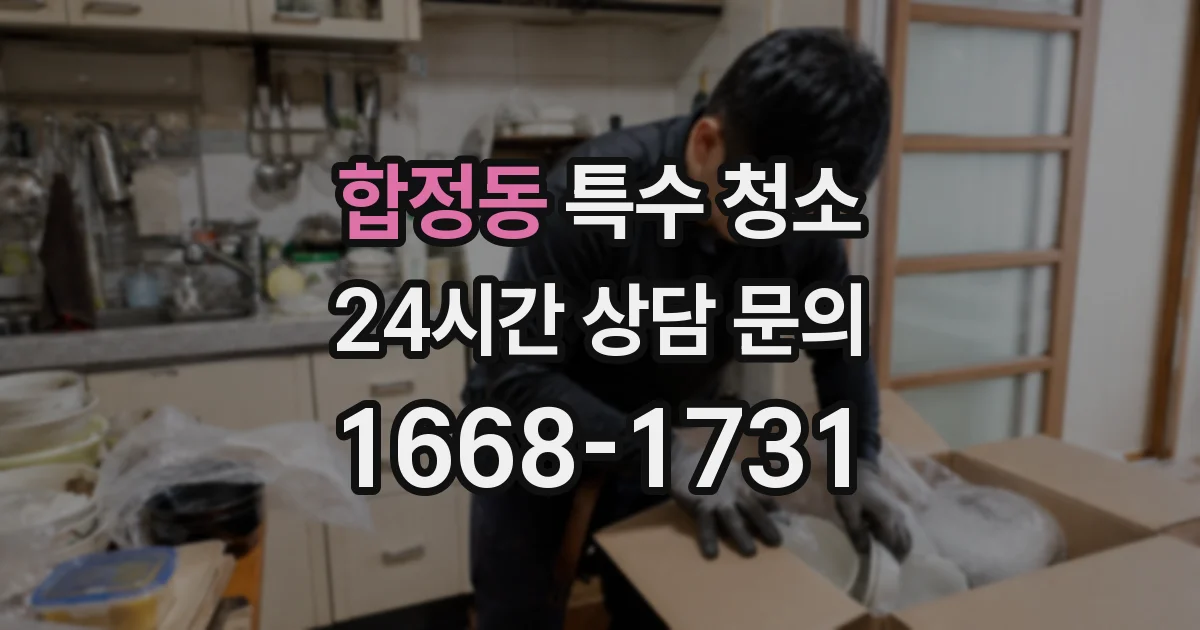 합정동 특수 청소