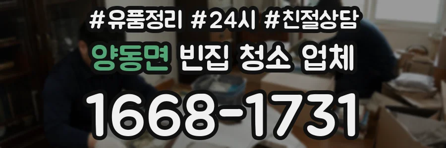 양동면 빈집 청소 업체