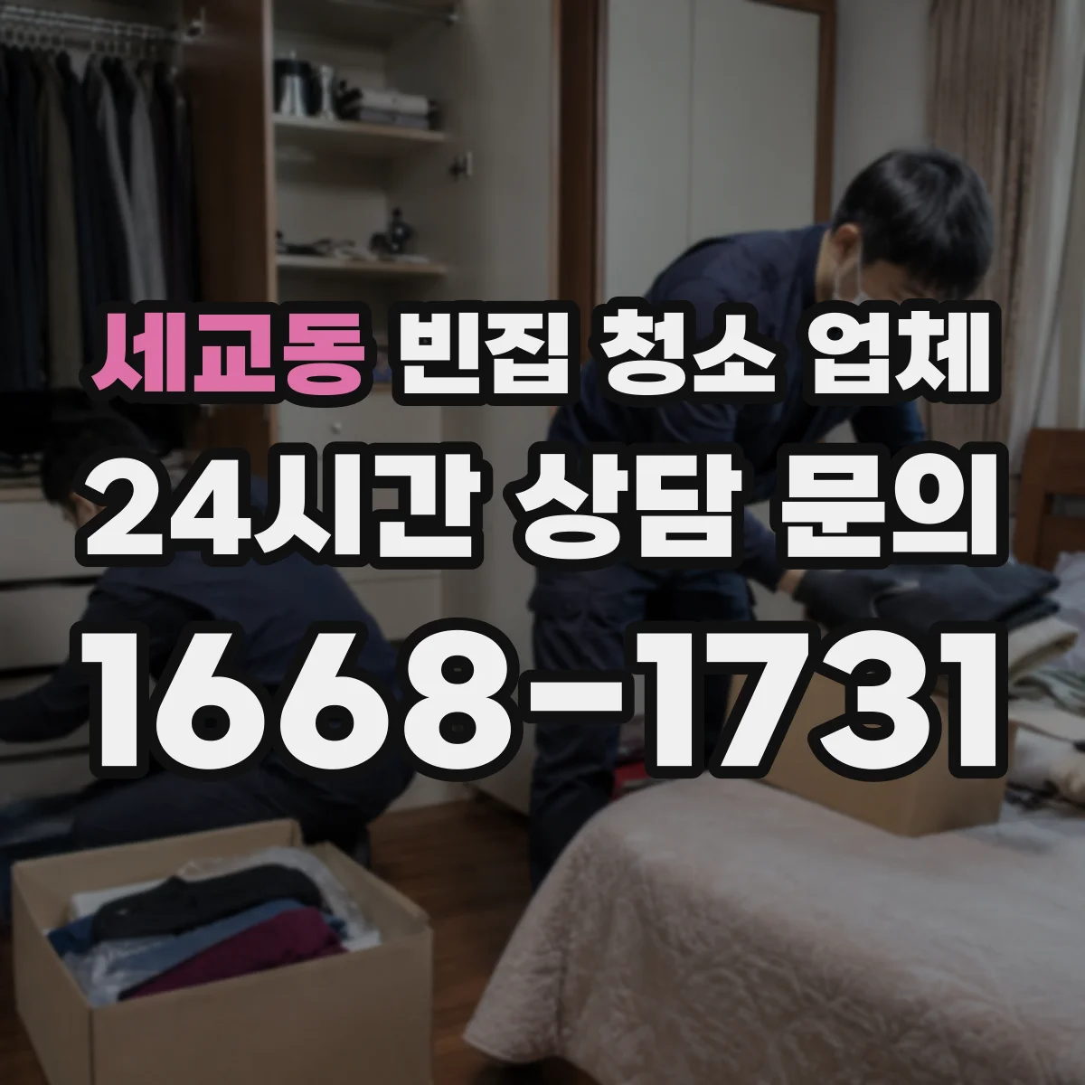 세교동 빈집 청소 업체