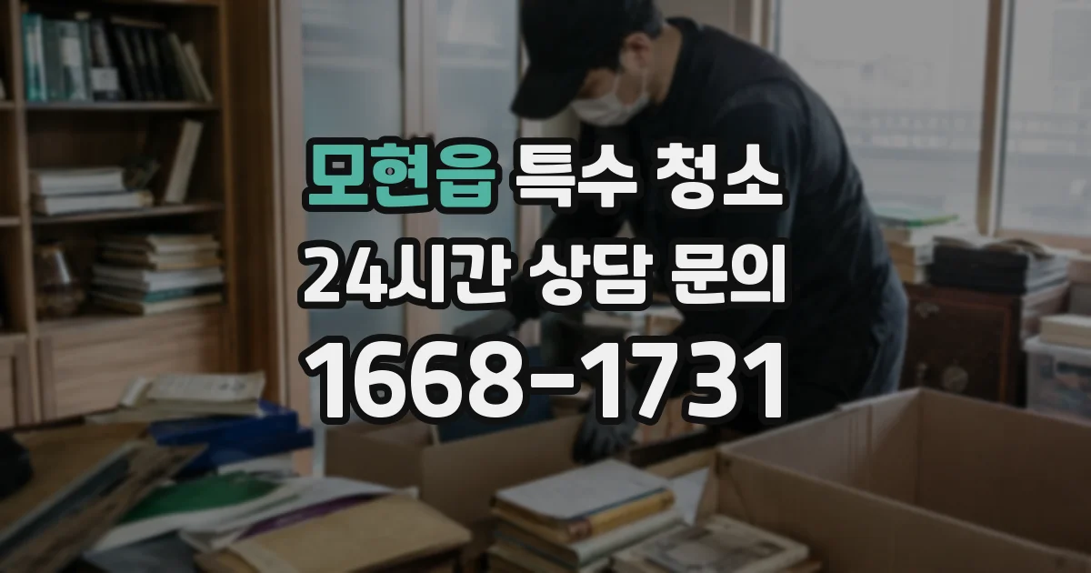 모현읍 특수 청소