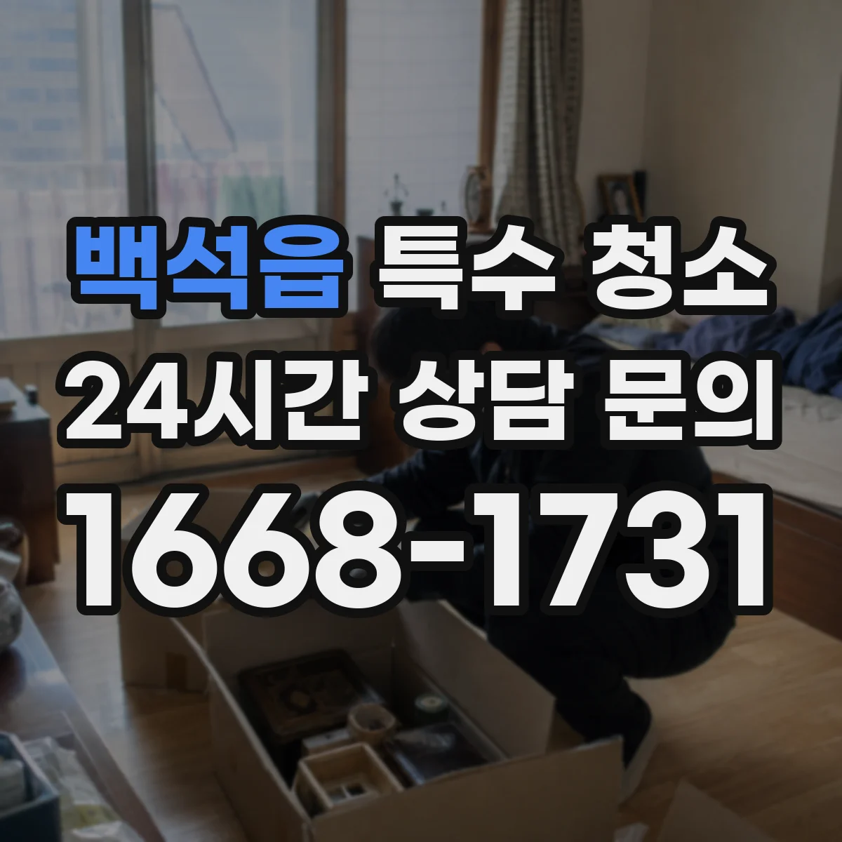 백석읍 특수 청소