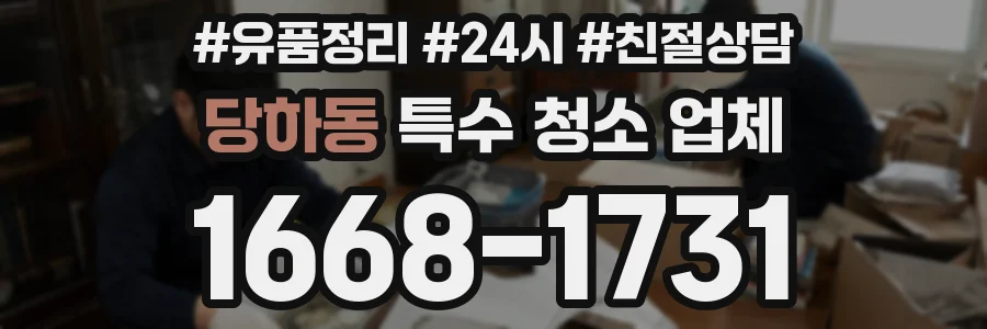 당하동 특수 청소 업체