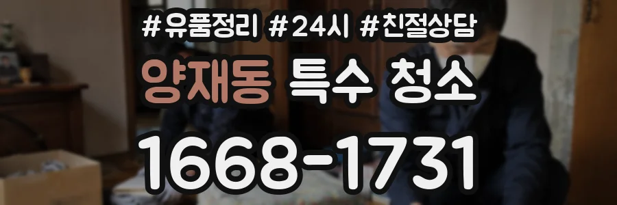 양재동 특수 청소