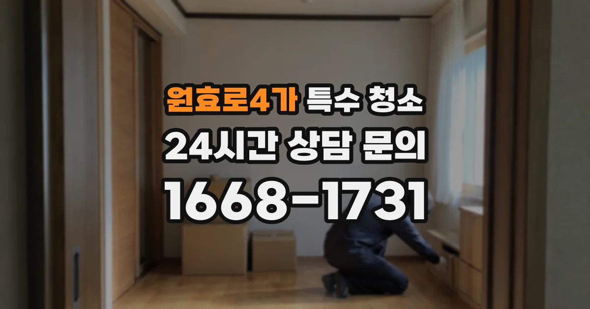 원효로4가 특수 청소