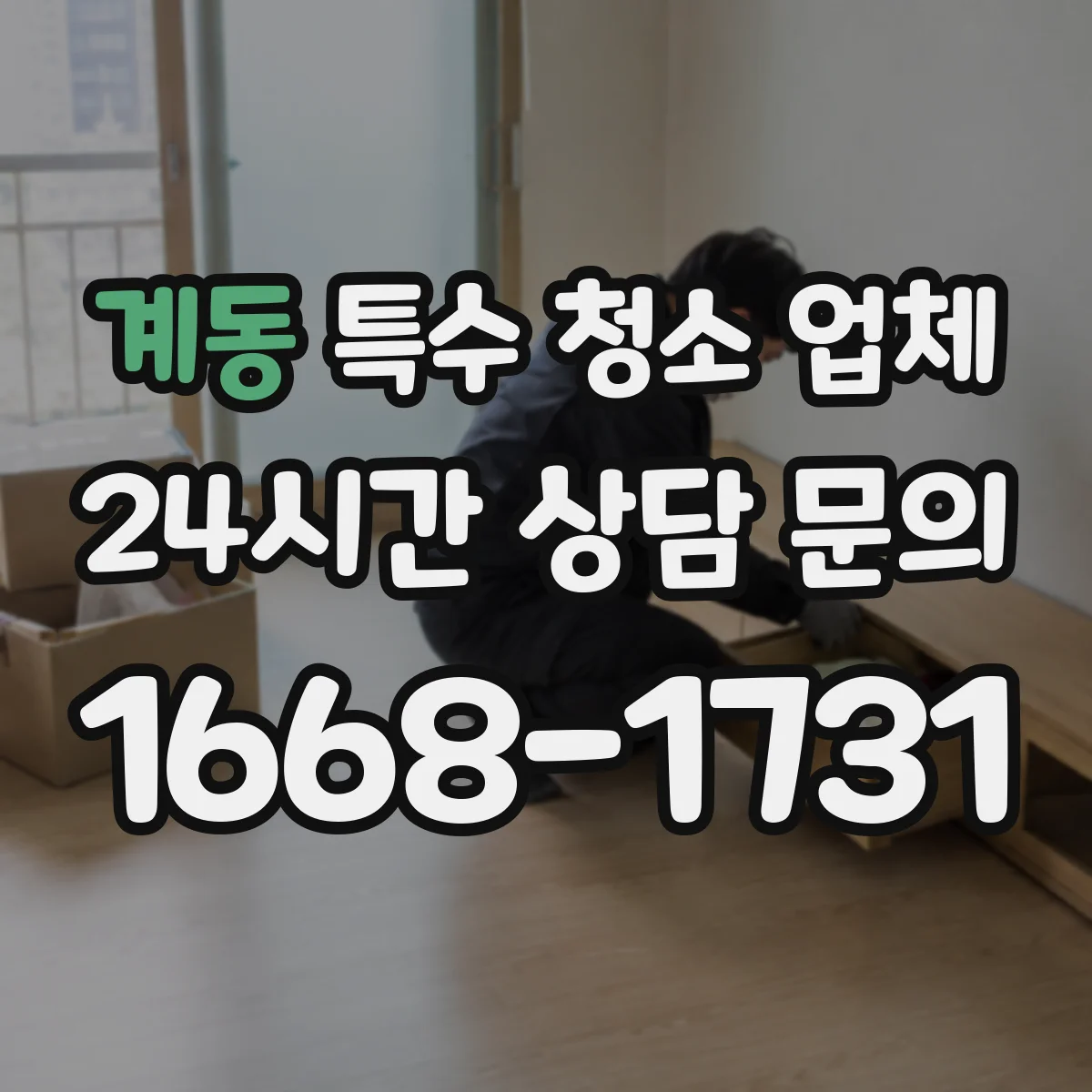 계동 특수 청소 업체