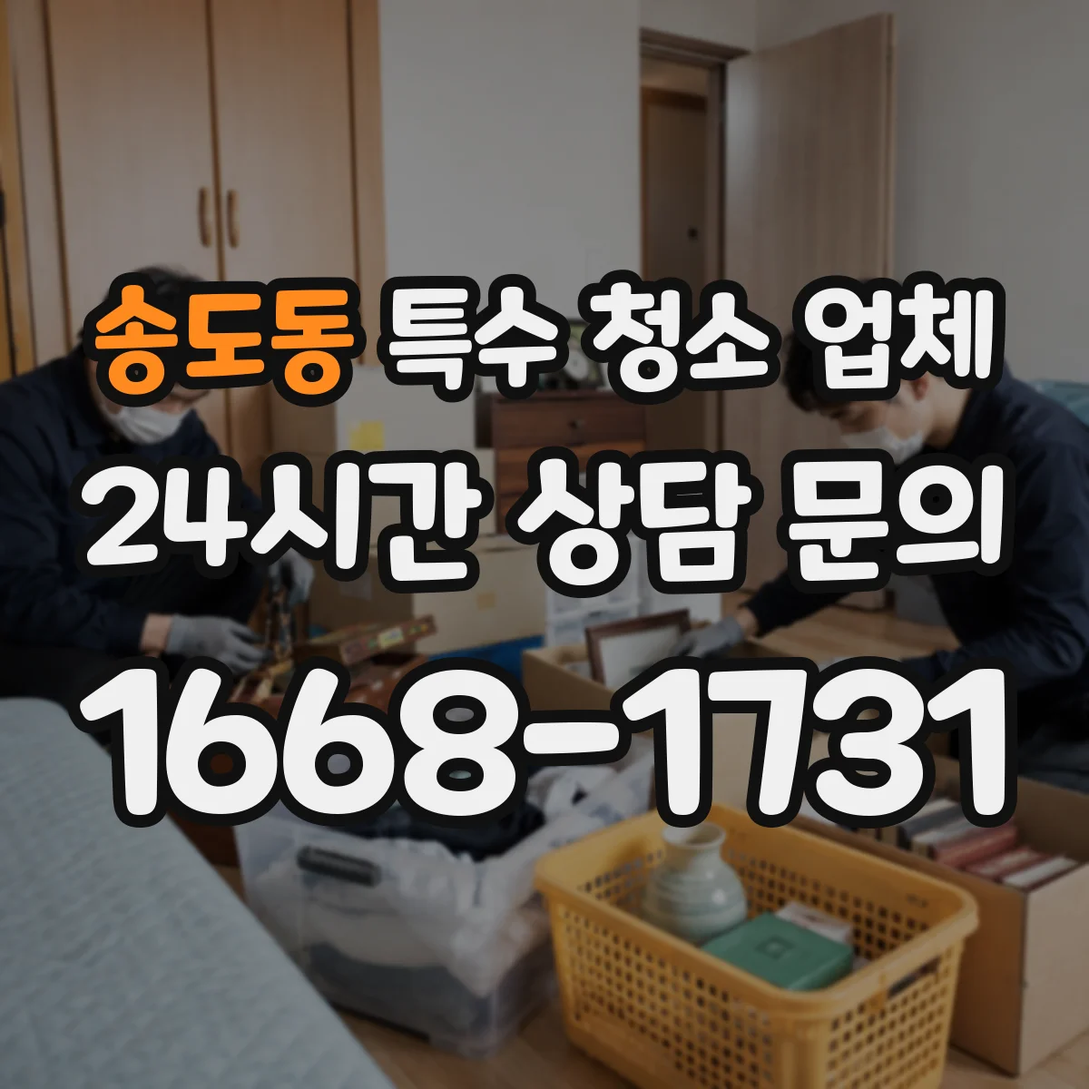 송도동 특수 청소 업체